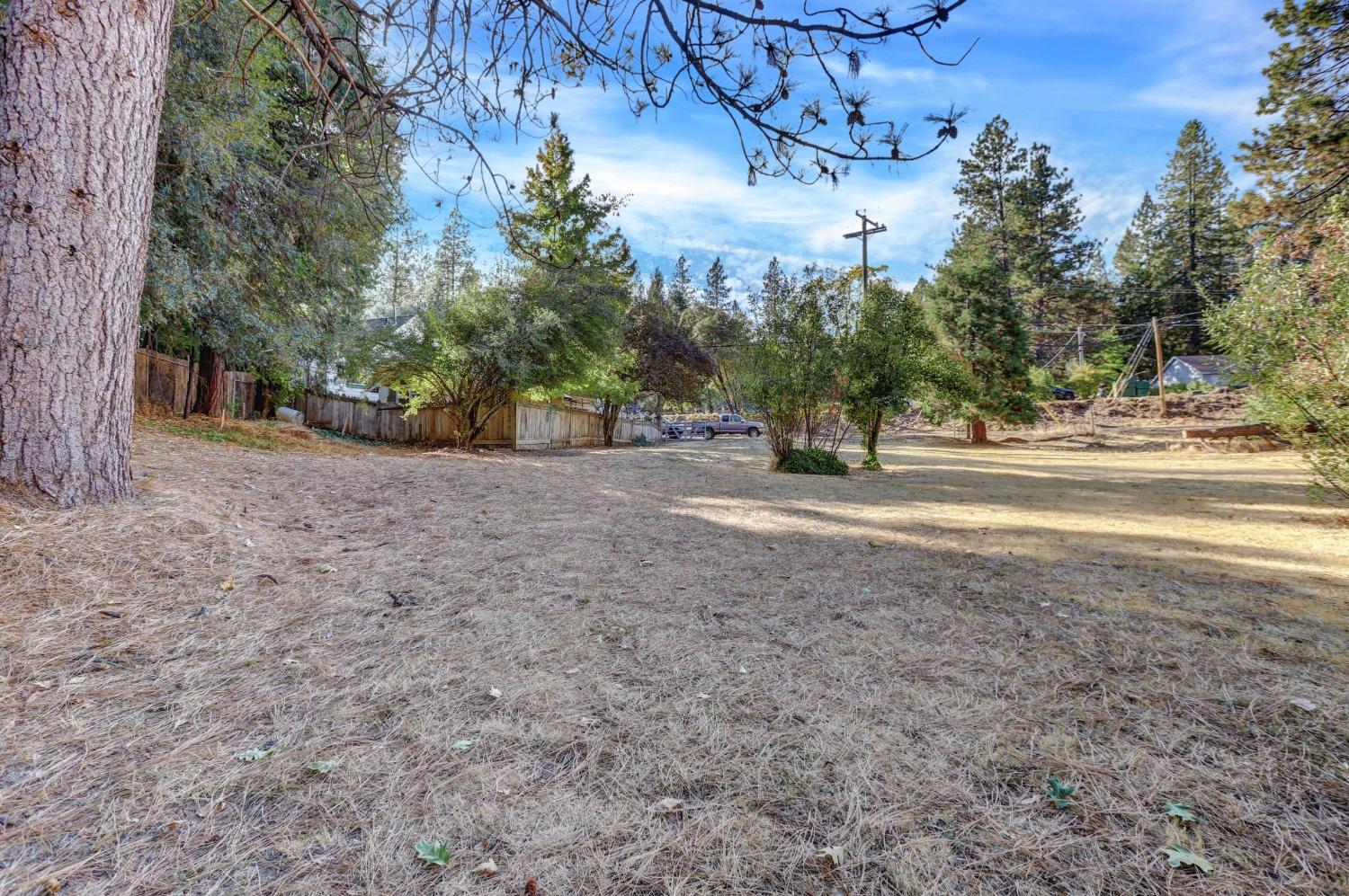 728 Old Washington Road Nevada City, CA 95959 - Photo 42 of 65 a view of a yard with a tree