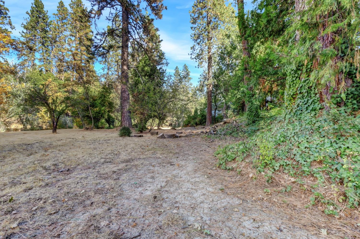 728 Old Washington Road Nevada City, CA 95959 - Photo 43 of 65 a view of outdoor space with trees