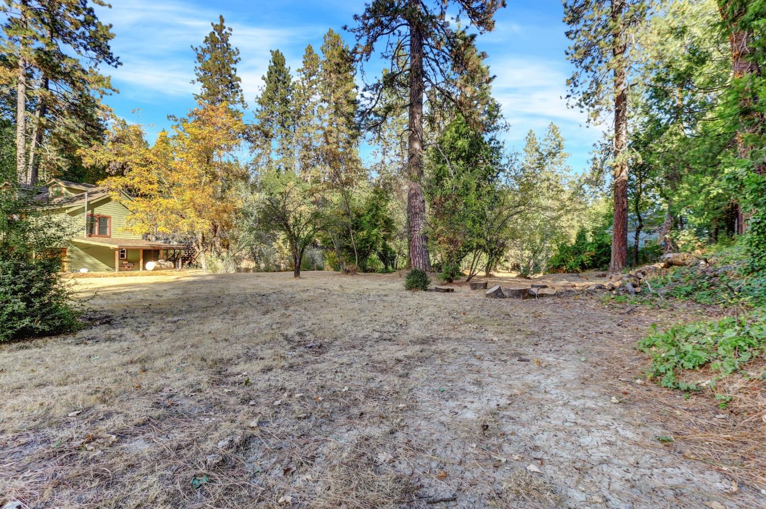 728 Old Washington Road Nevada City, CA 95959 - Photo 44 of 65 a view of outdoor space with trees all around