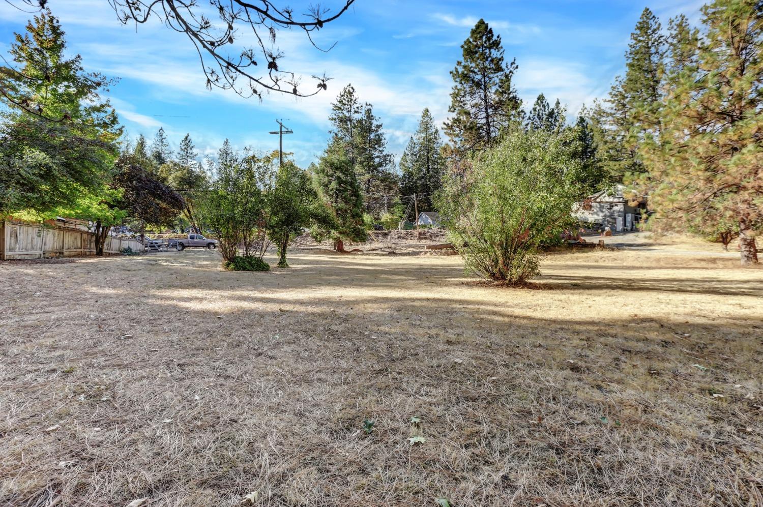 728 Old Washington Road Nevada City, CA 95959 - Photo 46 of 65 a view of a yard with tree s