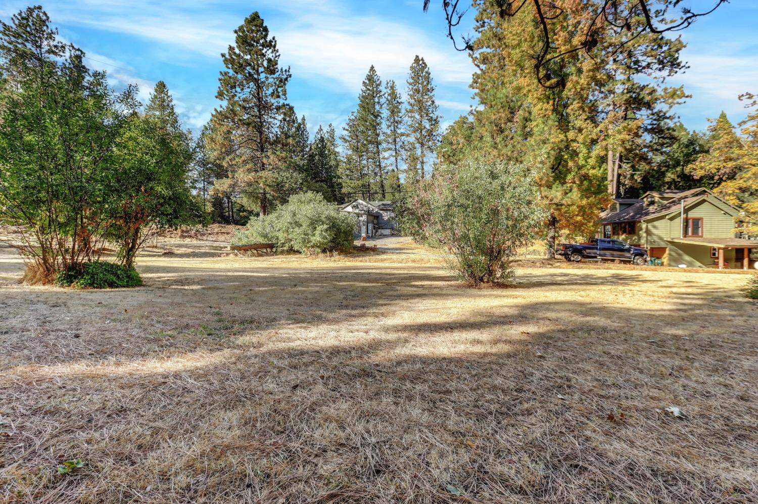 728 Old Washington Road Nevada City, CA 95959 - Photo 47 of 65 a view of dirt yard with a large tree