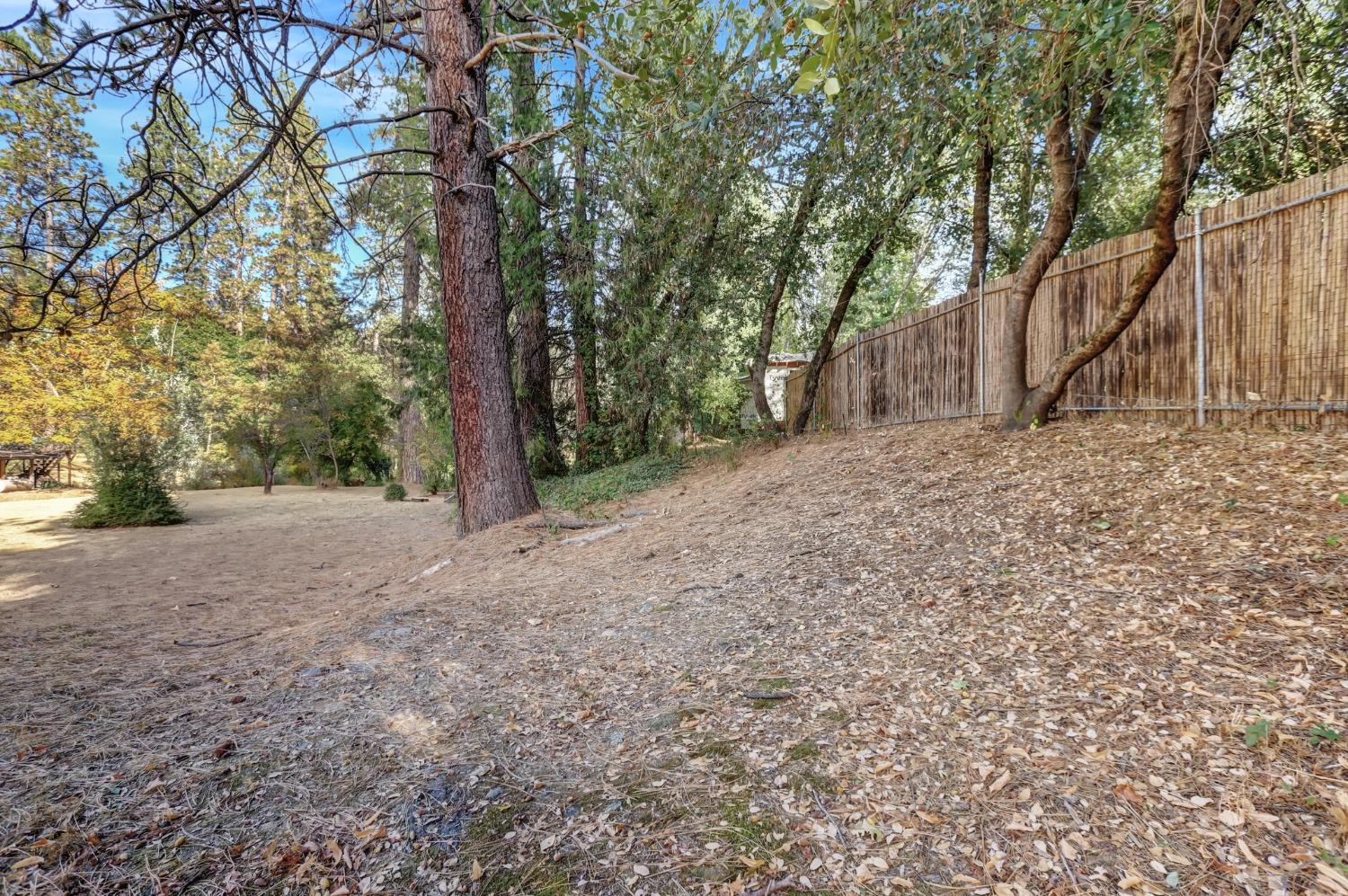 728 Old Washington Road Nevada City, CA 95959 - Photo 49 of 65 a view of a backyard with large trees