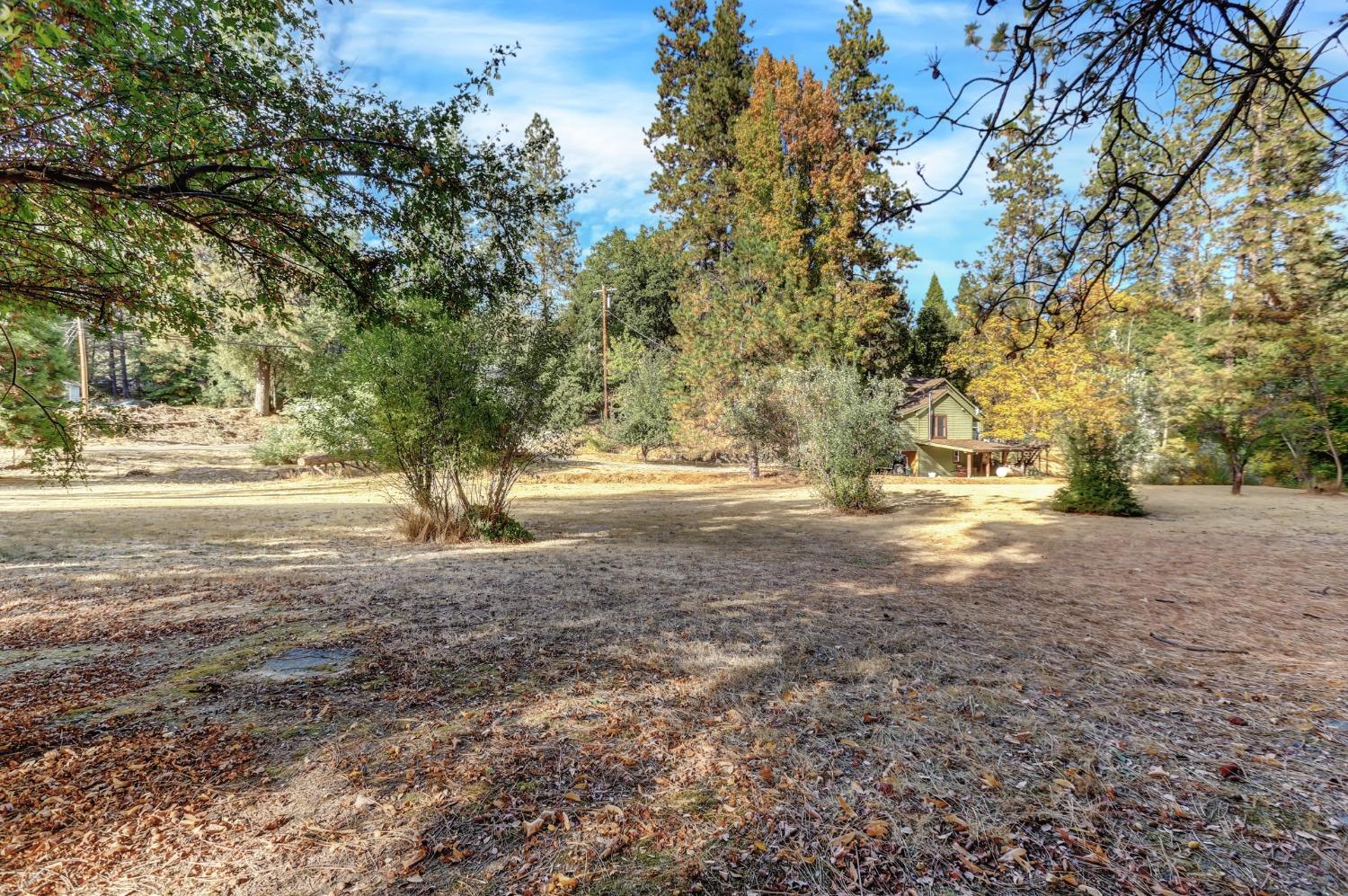 728 Old Washington Road Nevada City, CA 95959 - Photo 50 of 65 a view of dirt yard with a tree