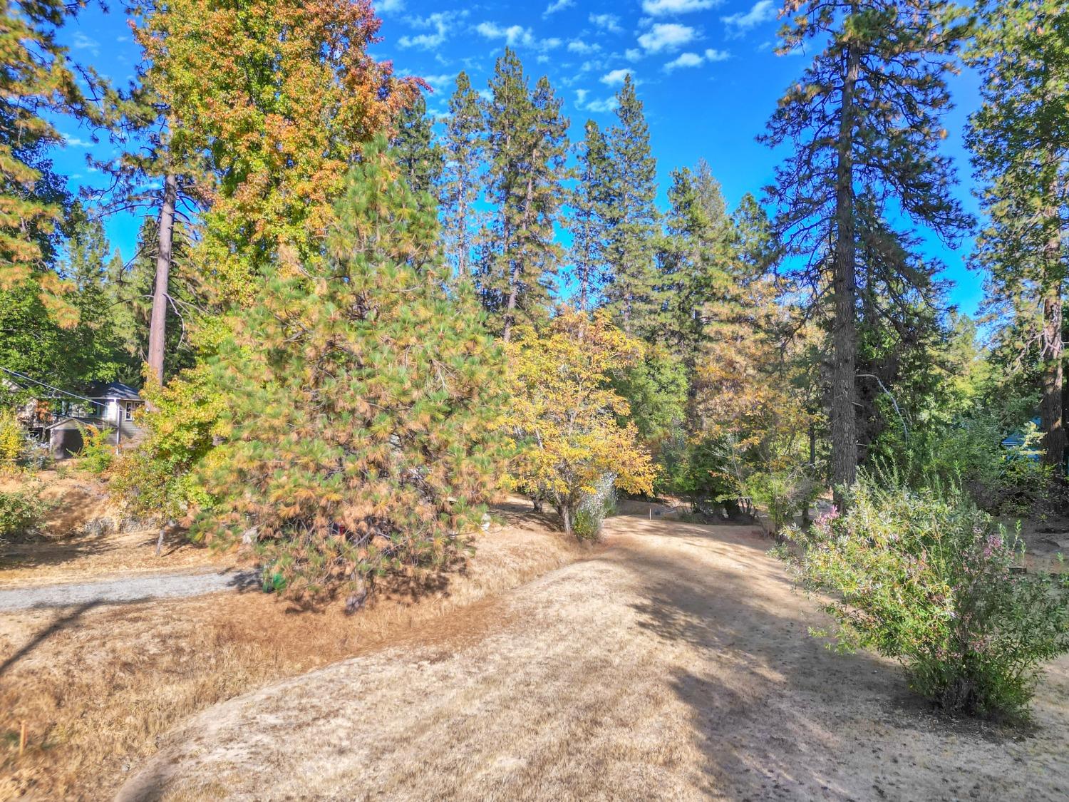 728 Old Washington Road Nevada City, CA 95959 - Photo 5 of 65 a view of outdoor space and a yard