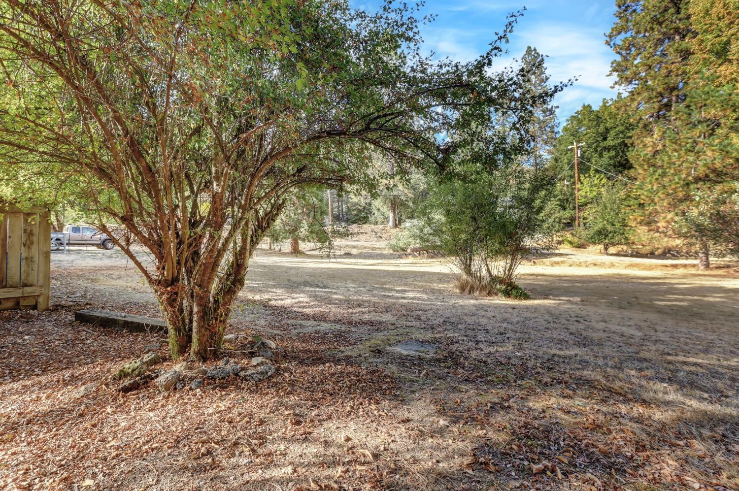 728 Old Washington Road Nevada City, CA 95959 - Photo 51 of 65 a view of dirt yard with a tree