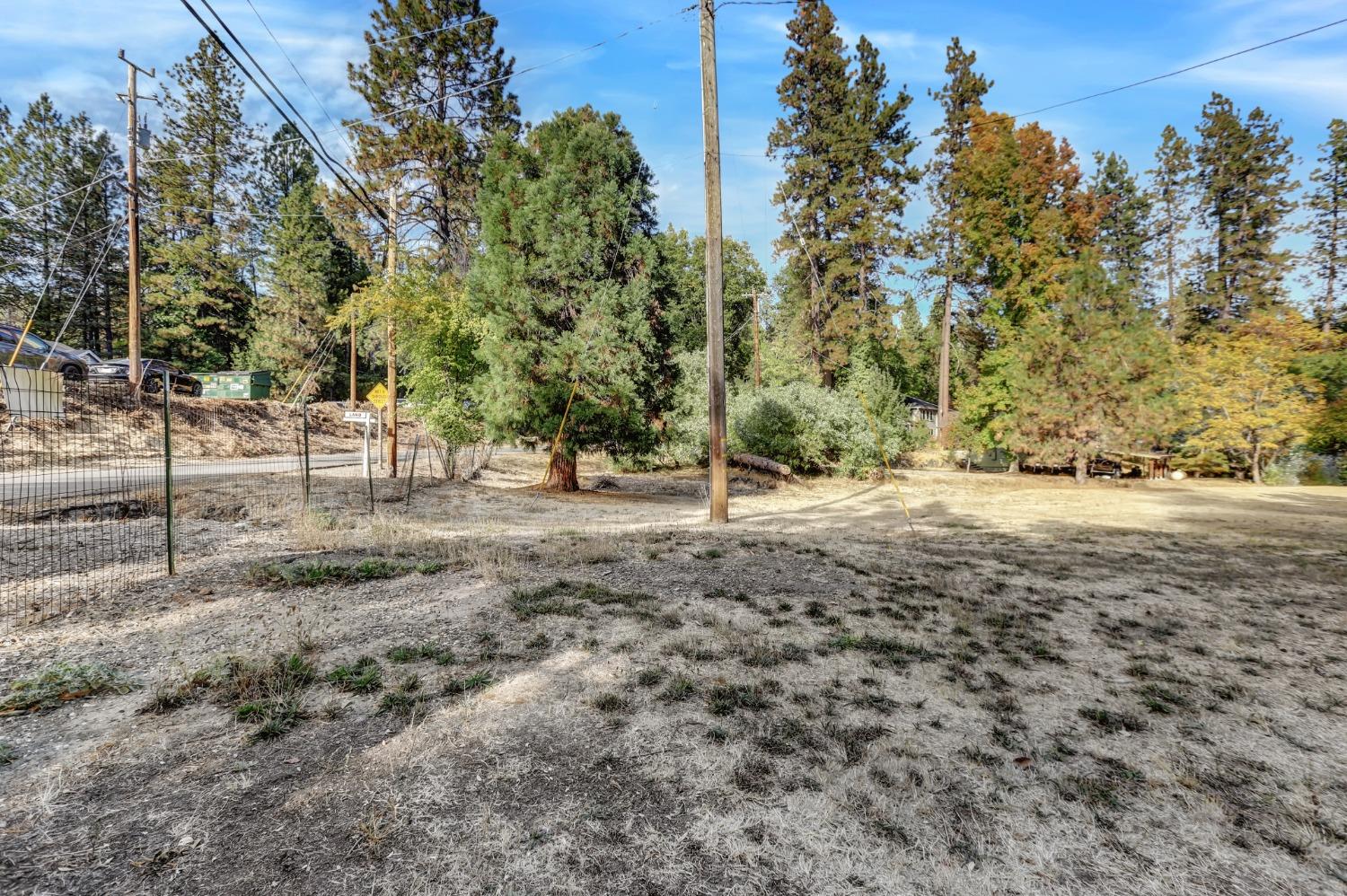 728 Old Washington Road Nevada City, CA 95959 - Photo 52 of 65 a view of a yard with trees