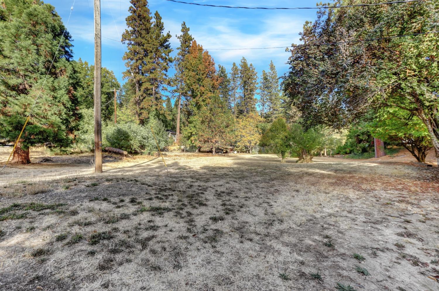 728 Old Washington Road Nevada City, CA 95959 - Photo 53 of 65 a view of outdoor space with trees