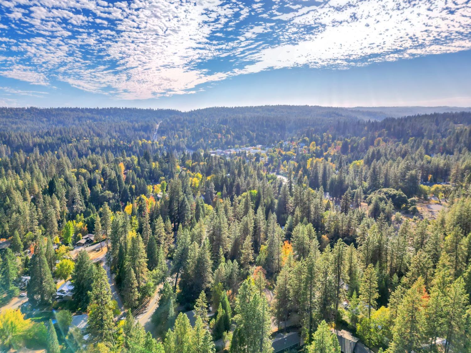 728 Old Washington Road Nevada City, CA 95959 - Photo 56 of 65 a view of a city with lush green forest