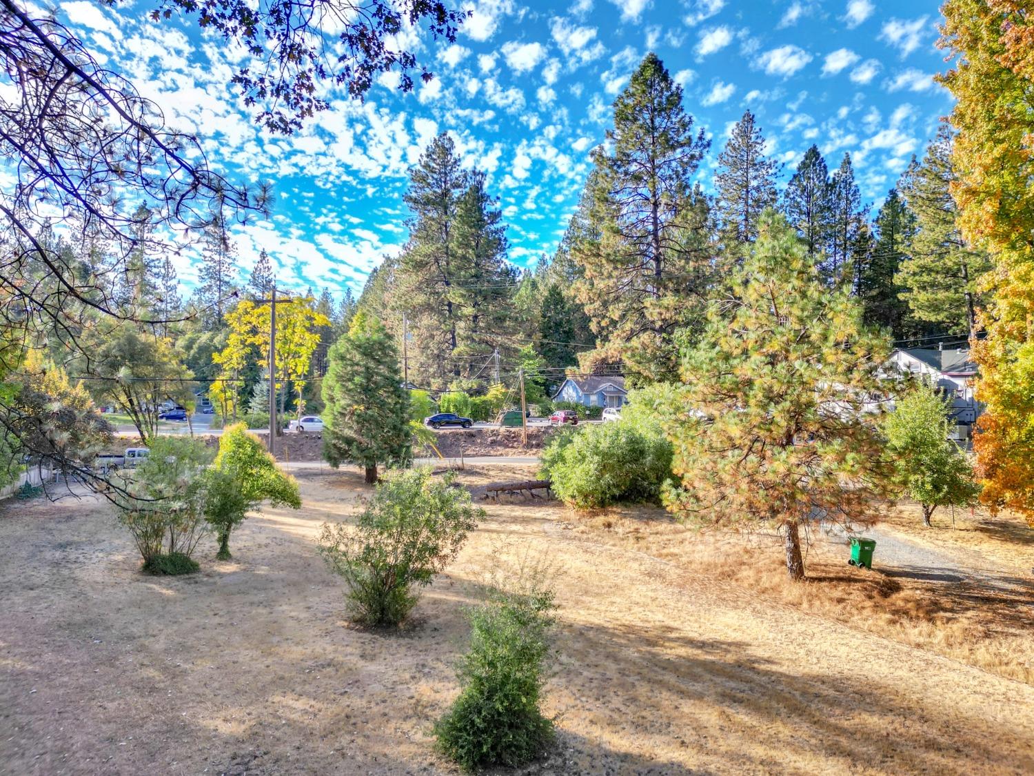 728 Old Washington Road Nevada City, CA 95959 - Photo 57 of 65 a view of a garden with plants