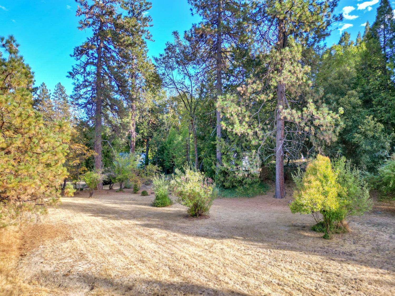 728 Old Washington Road Nevada City, CA 95959 - Photo 6 of 65 a view of a park with plants and trees