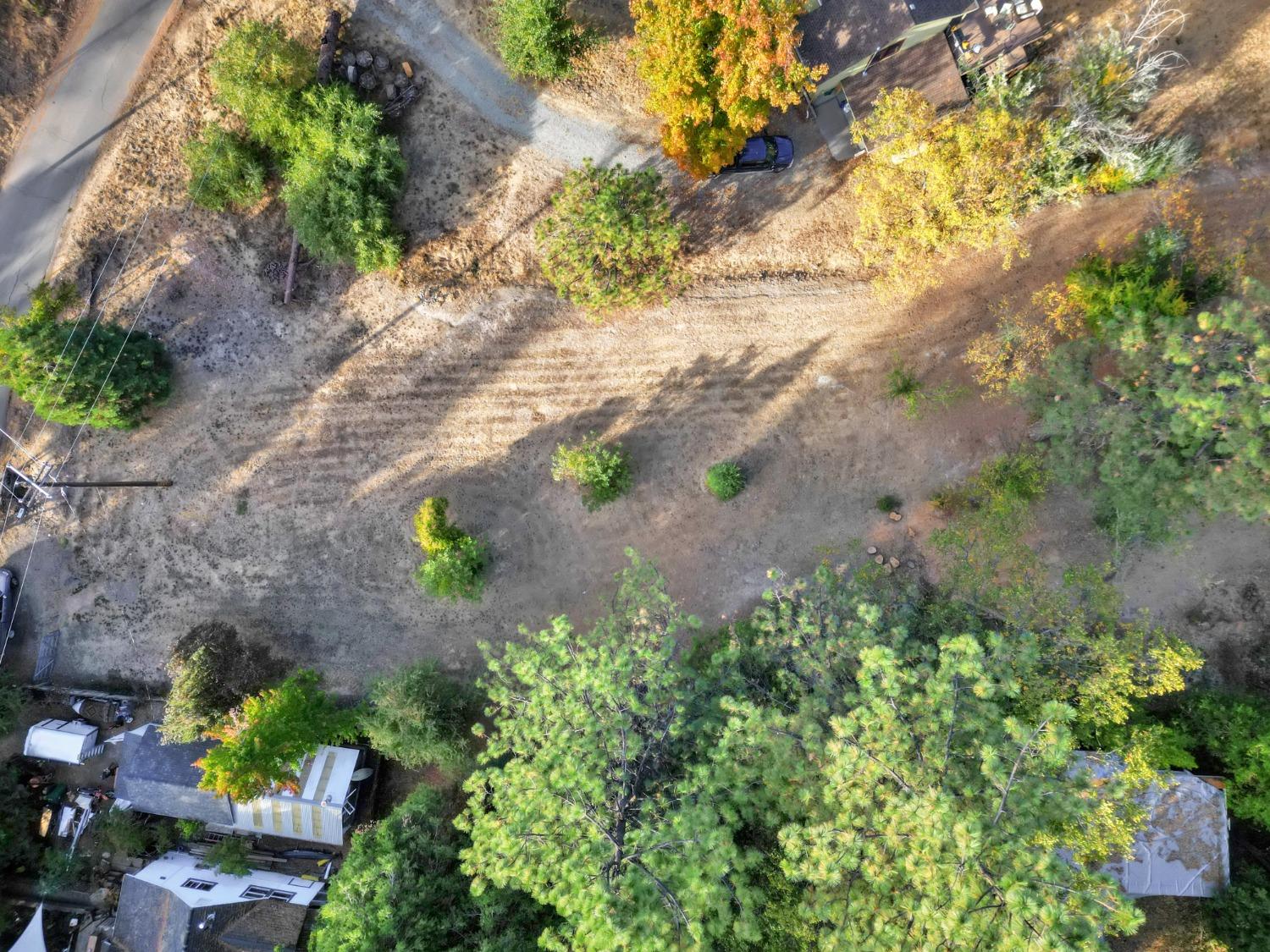 728 Old Washington Road Nevada City, CA 95959 - Photo 65 of 65 a view of a yard with plants and large trees