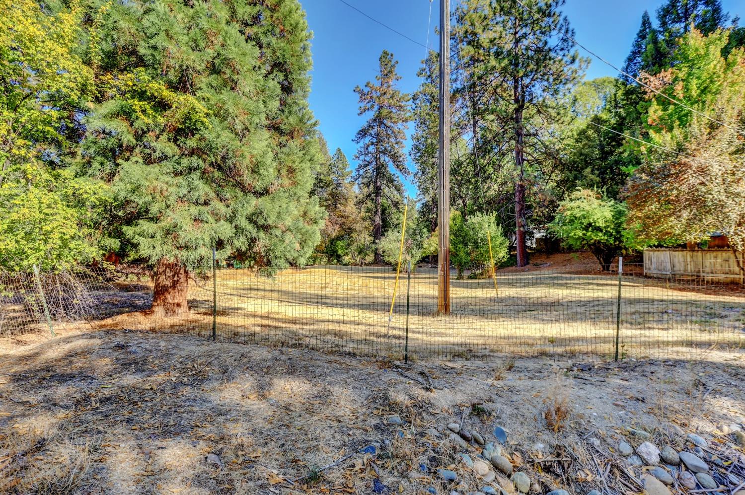 728 Old Washington Road Nevada City, CA 95959 - Photo 7 of 65 a view of backyard with tree
