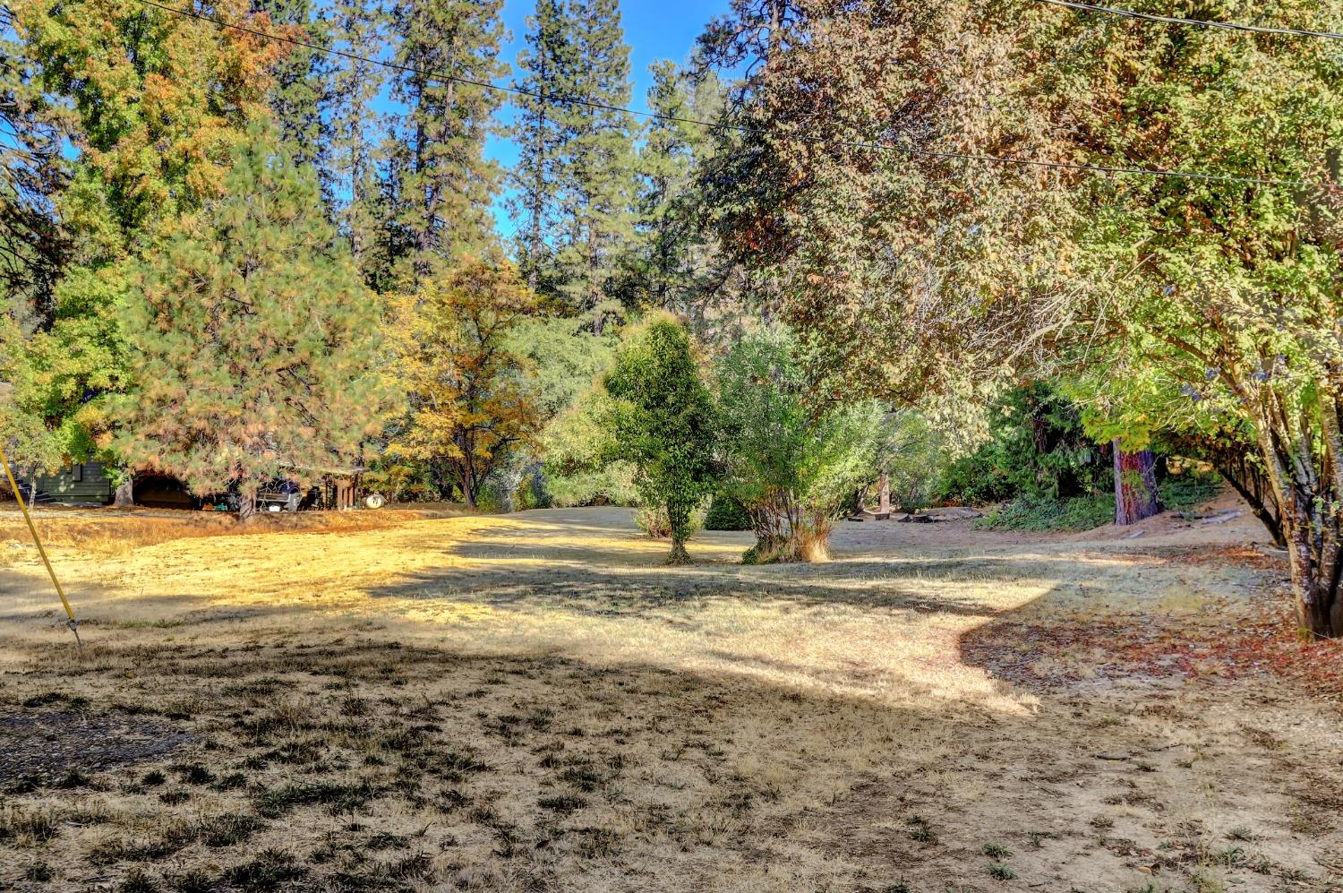 728 Old Washington Road Nevada City, CA 95959 - Photo 9 of 65 a view of a yard with an outdoor space