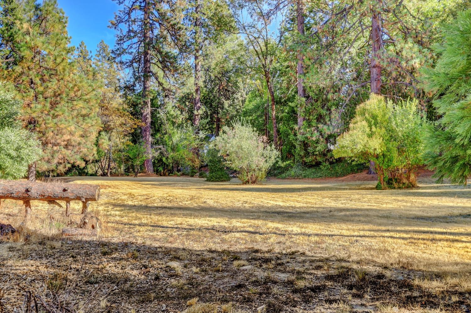 728 Old Washington Road Nevada City, CA 95959 - Photo 10 of 65 a view of a yard with an outdoor space and seating area