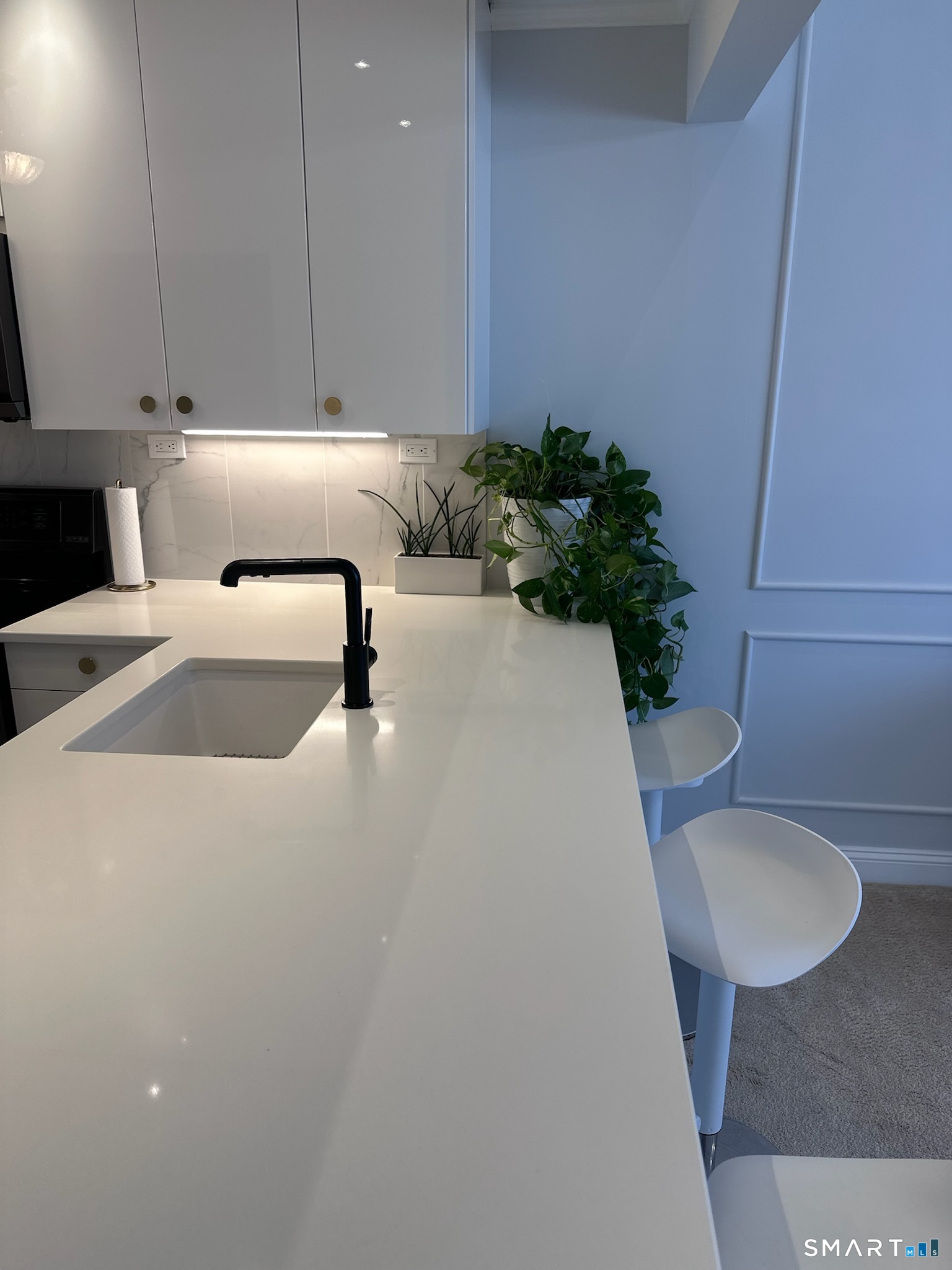 163 South Street, Unit 85 Danbury, CT 06810 - Photo 16 of 18 a living room with furniture and a potted plant