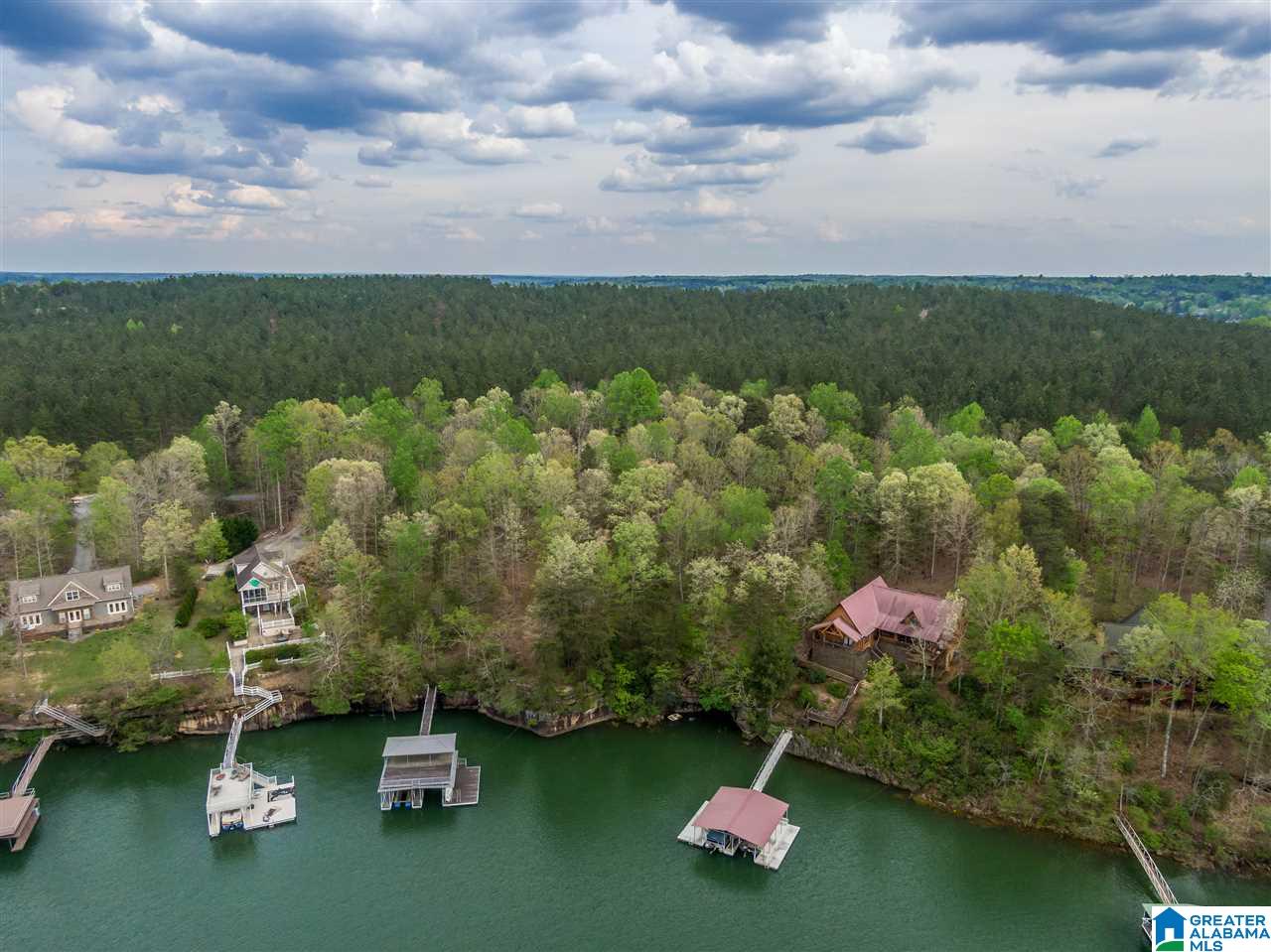 0 Sipsey Pines Road, Unit 133 Arley, AL 35541 - Photo 8 of 8