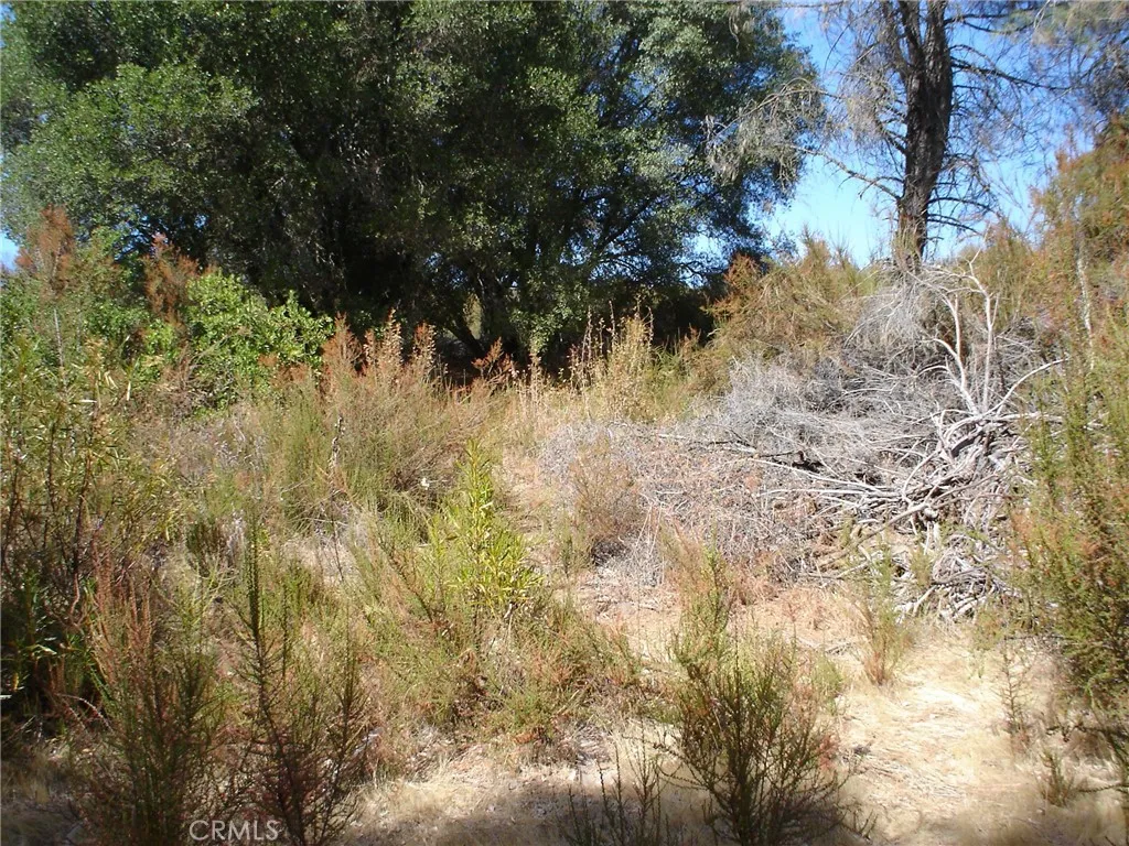 16344 4th Clearlake, CA 95422 - Photo 2 of 3 a view of a yard