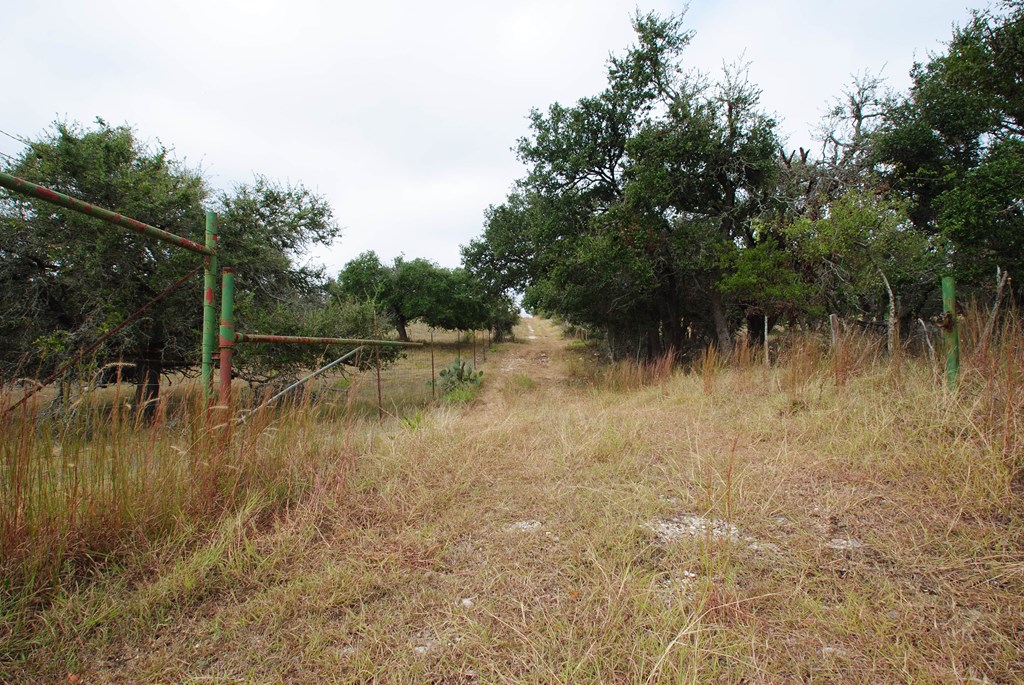 0 Reeh Road Fredericksburg, TX 78624 - Photo 18 of 19 Gallery Image 18