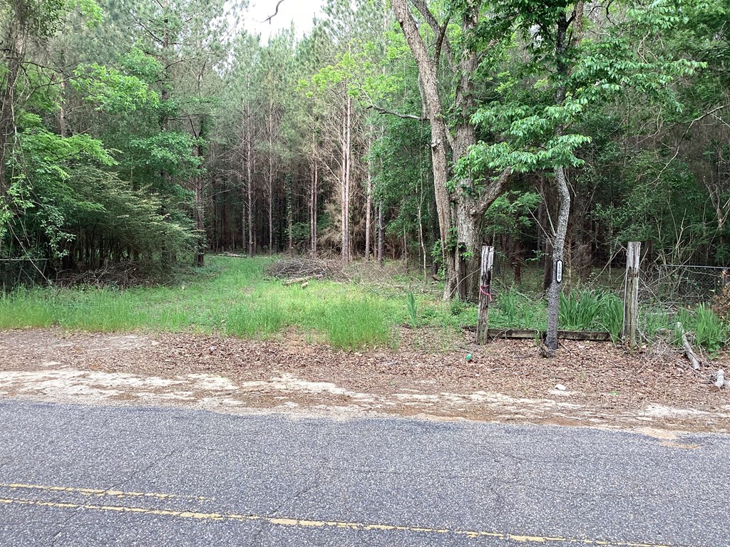 1290 Guy Branch Road Cottonwood, AL 36320 - Photo 2 of 20