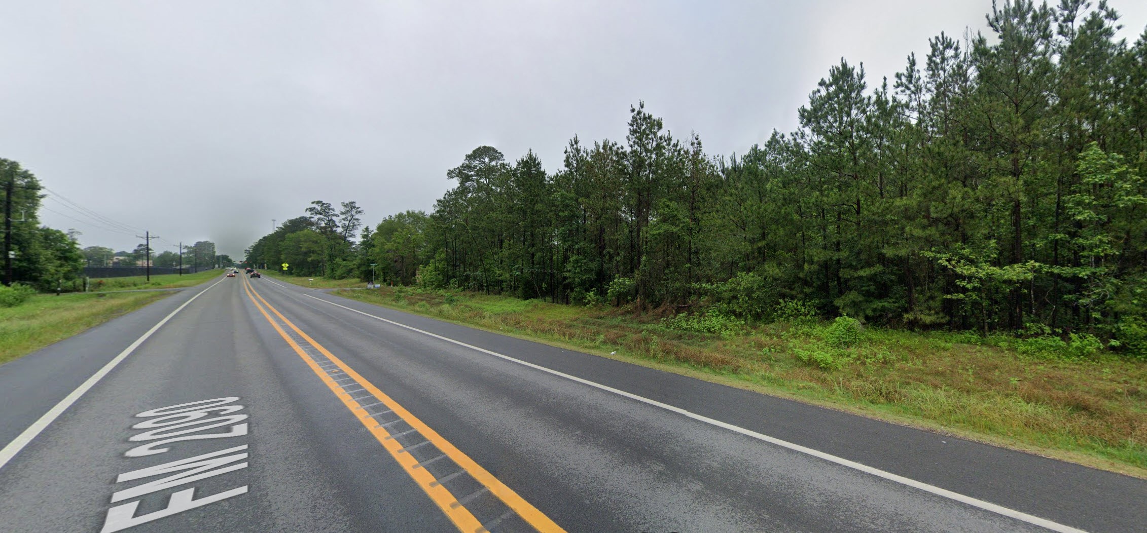 13075 Palace Conroe, TX 77306 - Photo 4 of 7 a view of street with yard and trees in the background