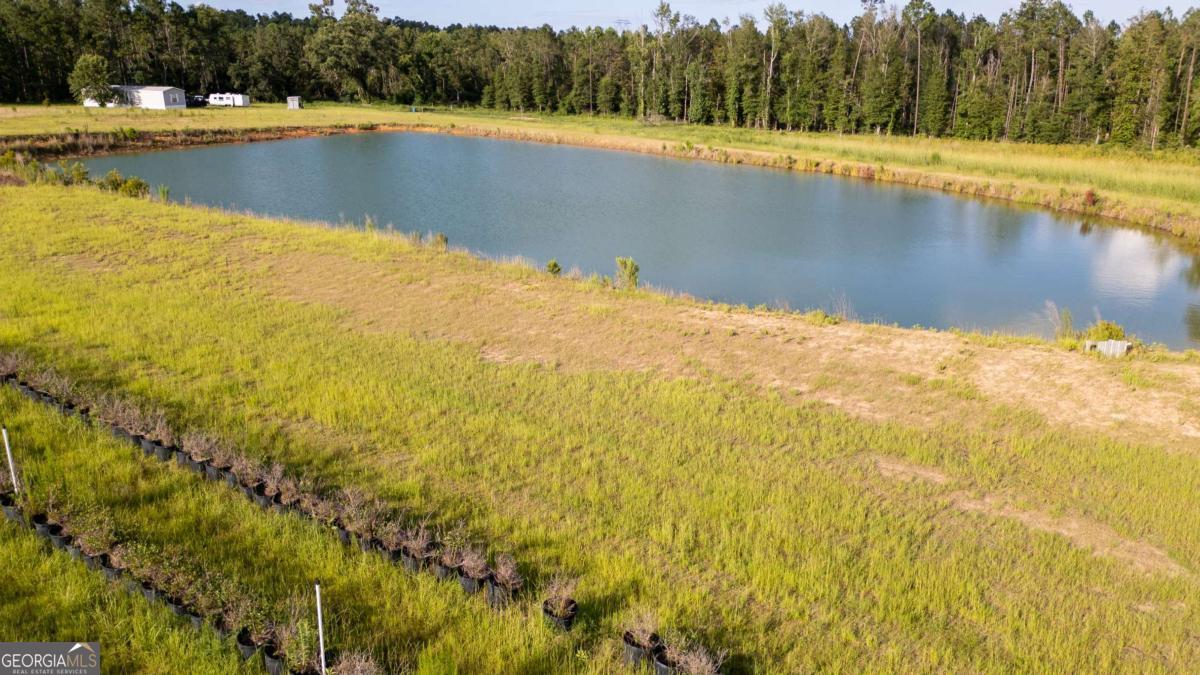 1 Penny Morris Road Baxley, GA 31513 - Photo 3 of 4