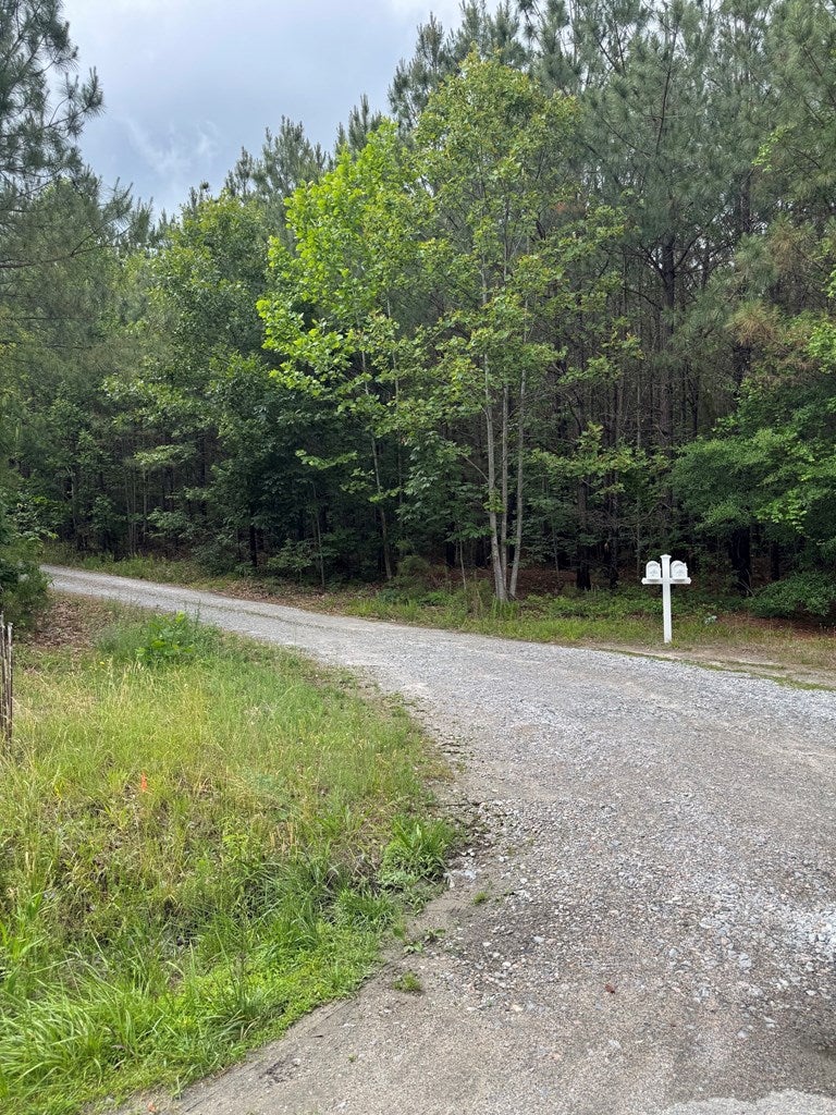 West Creek Road Crewe, VA 23930 - Photo 4 of 18 Gallery Image 4