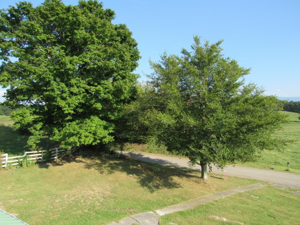 380 Remine Road Limestone, TN 37681 - Photo 25 of 33 View from Bedrooms