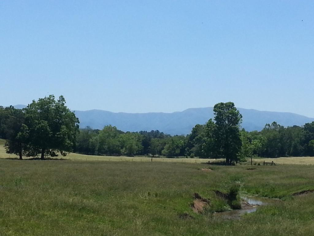 380 Remine Road Limestone, TN 37681 - Photo 33 of 33 Photo 34