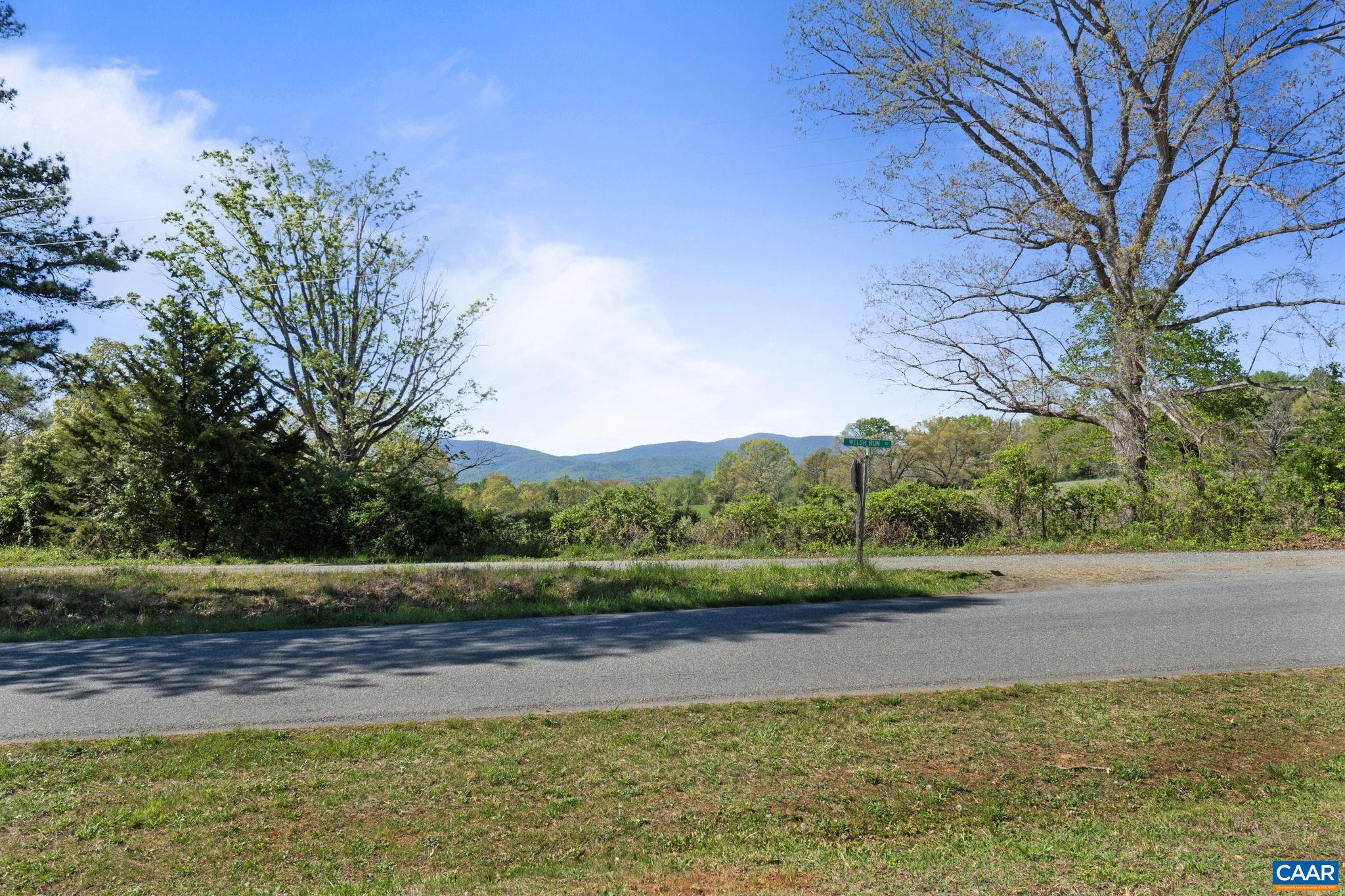 3580 Welsh Run Road Ruckersville, VA 22968 - Photo 44 of 44 a view of a yard with an trees