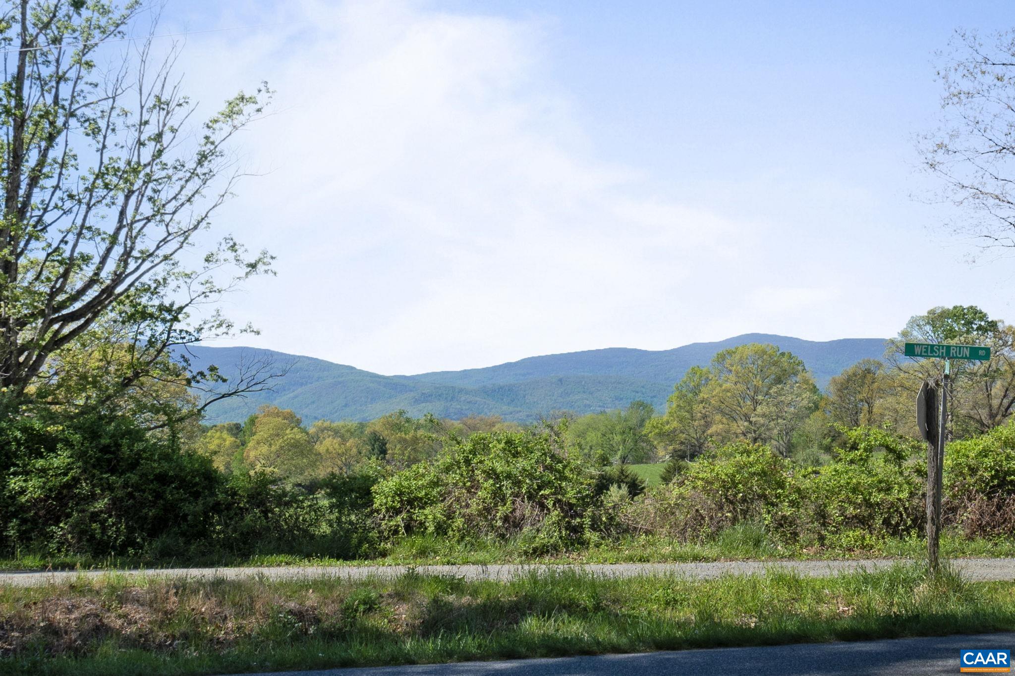 3580 Welsh Run Road Ruckersville, VA 22968 - Photo 9 of 44 a view of a lush green field with lots of bushes