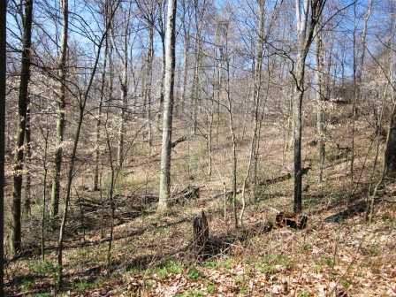 5481 Franks Road Southeast Newark, OH 43056 - Photo 22 of 25