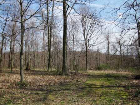 5481 Franks Road Southeast Newark, OH 43056 - Photo 24 of 25