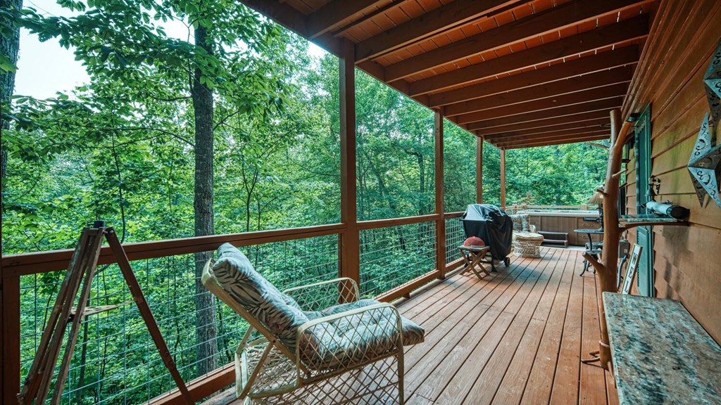 2529 Hunter Road Hiawassee, GA 30546 - Photo 42 of 52