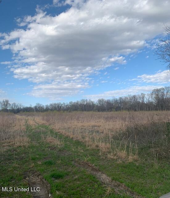 7998 Vaiden Road Hernando, MS 38632 - Photo 2 of 3 IMG_1223