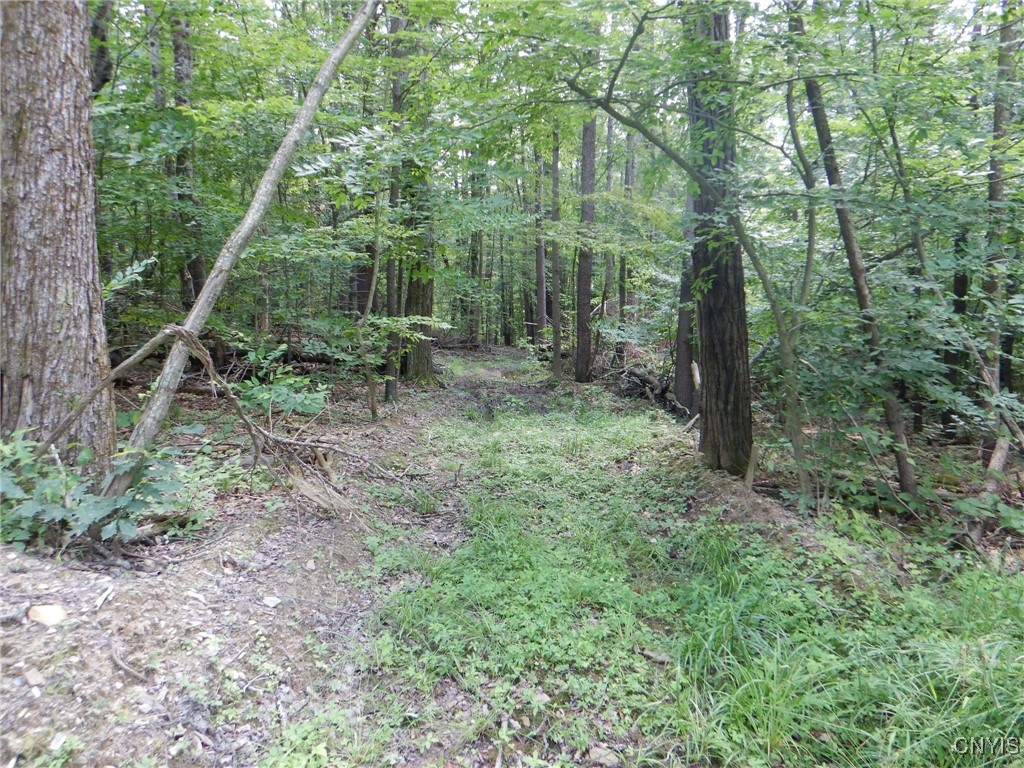 Chaffee Creek Road Newfield, NY 14867 - Photo 1 of 21