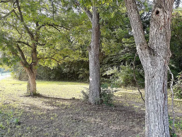 a view of a yard with a tree