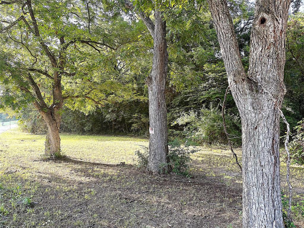 Tbd Lil Arkansas Road Bells, TX 75414 - Photo 2 of 11 a view of a yard with a tree
