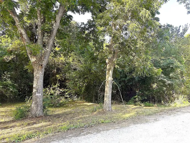 a view of a tree in the middle of a yard