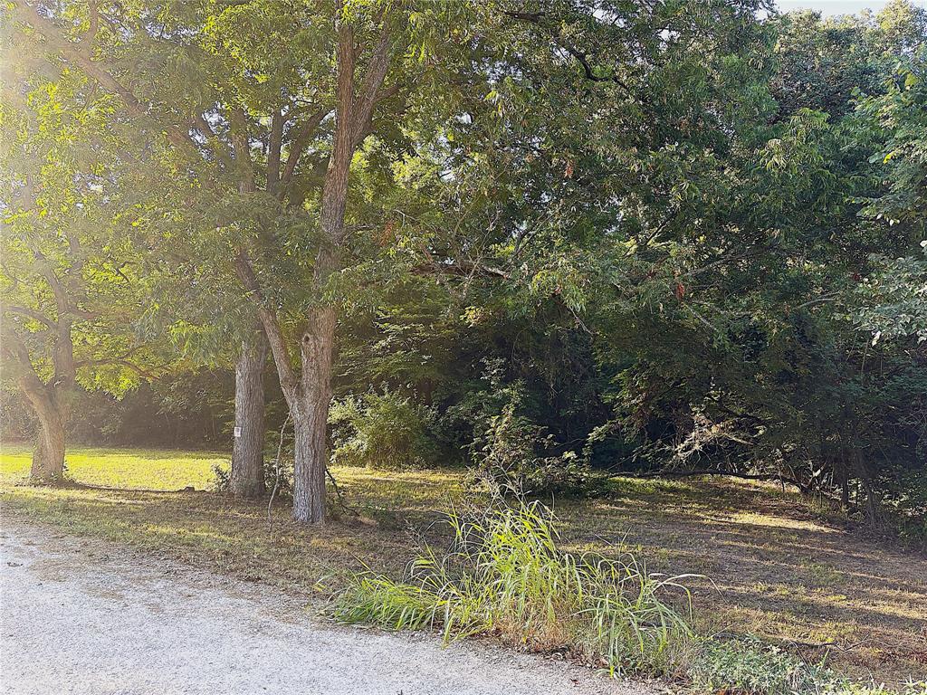 Tbd Lil Arkansas Road Bells, TX 75414 - Photo 4 of 11 a view of a yard with a tree