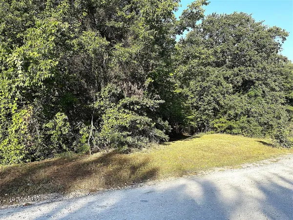 a view of a yard with a tree