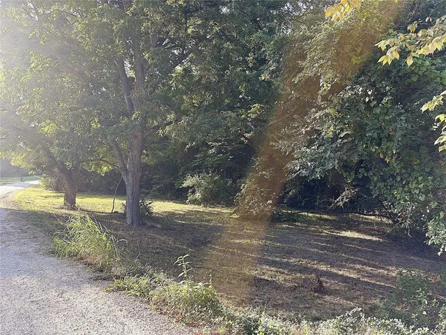 a view of dirt yard with a tree