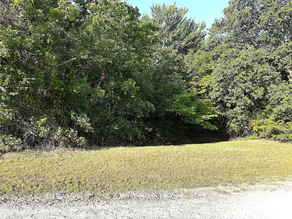 a view of yard with large trees