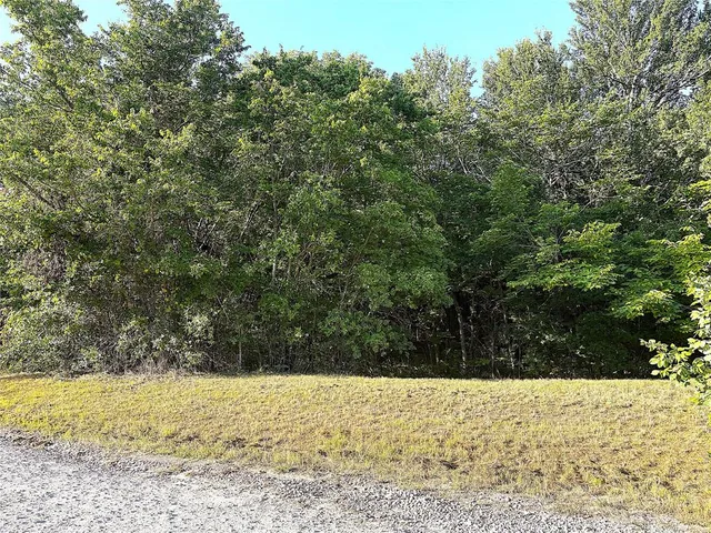 a view of a yard with trees