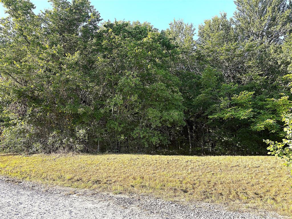 Tbd Lil Arkansas Road Bells, TX 75414 - Photo 8 of 11 a view of a yard with trees