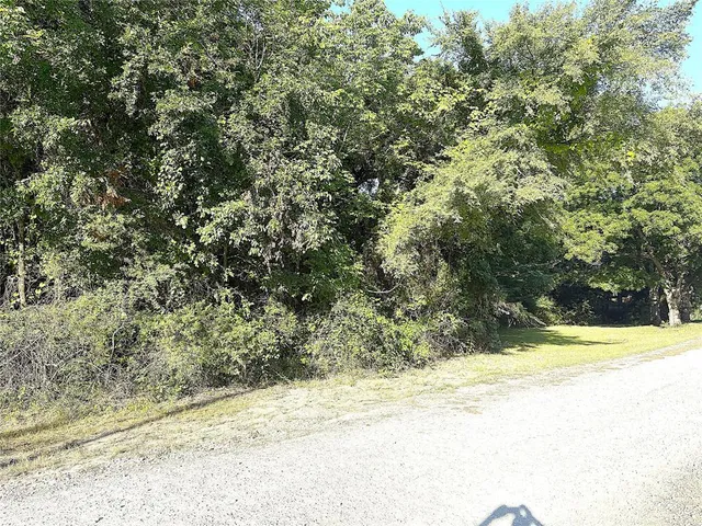 a view of a yard with a house
