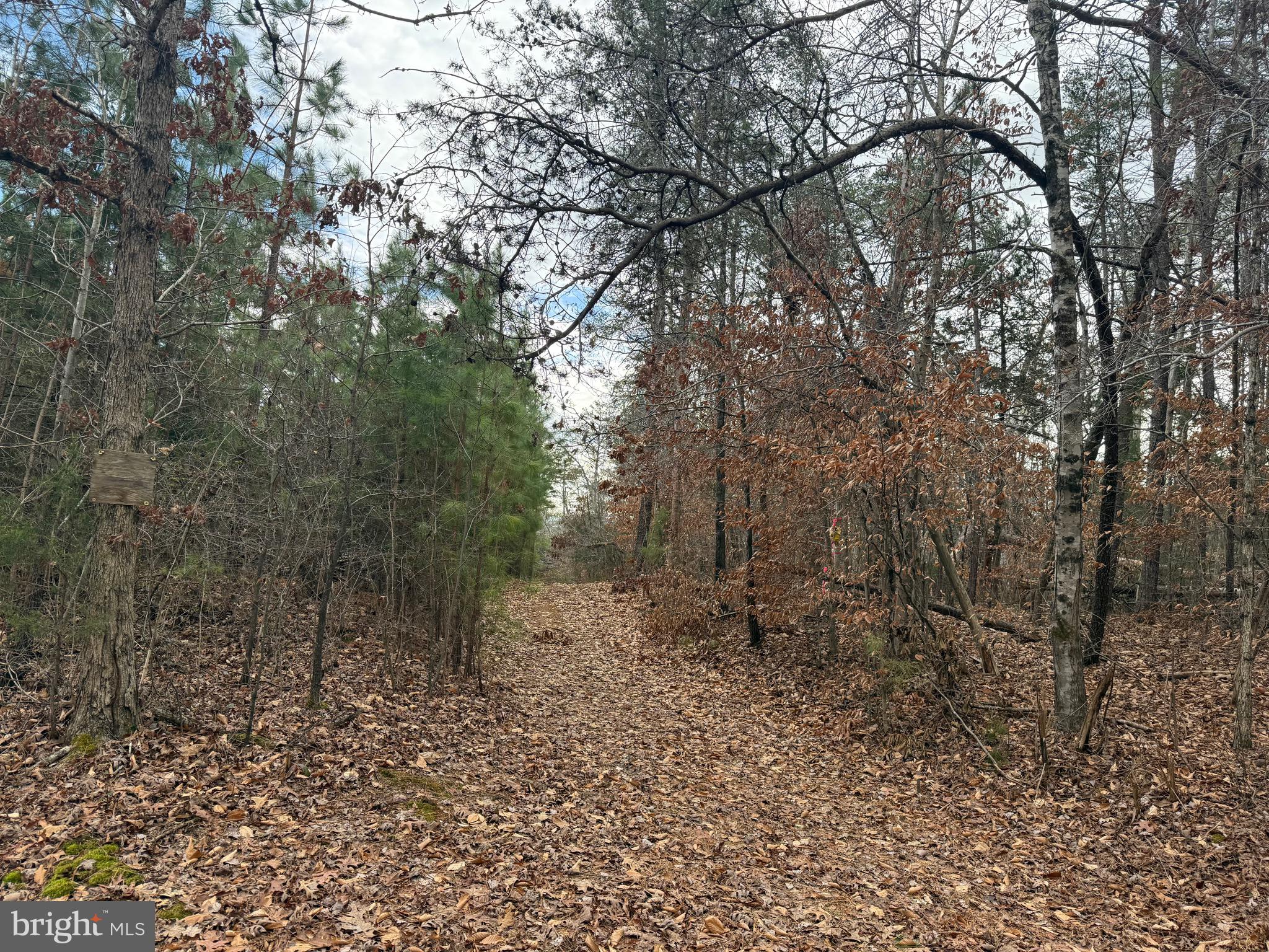 Lot C1 Hardware Road Arvonia, VA 23004 - Photo 11 of 27