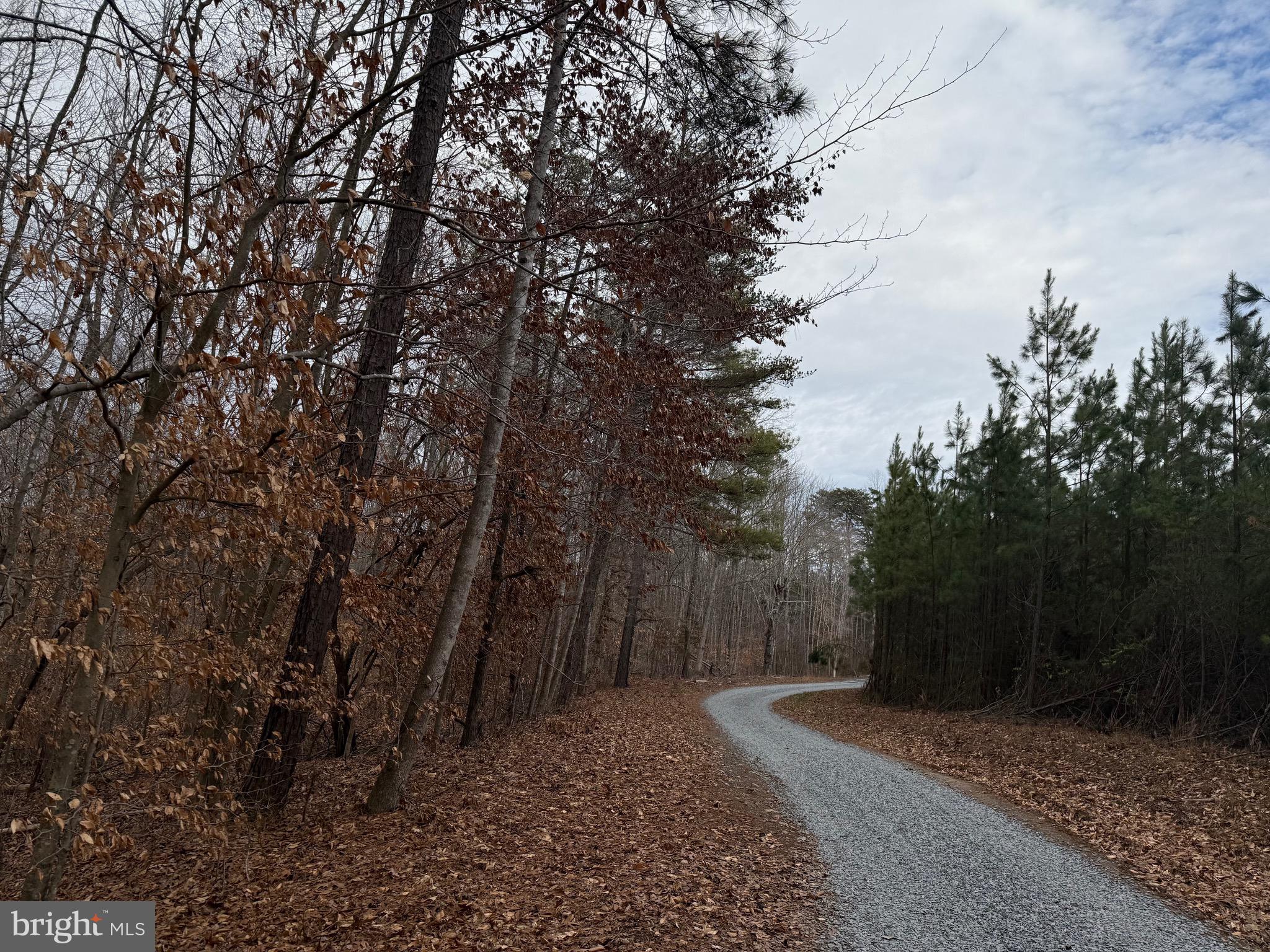 Lot C1 Hardware Road Arvonia, VA 23004 - Photo 12 of 27