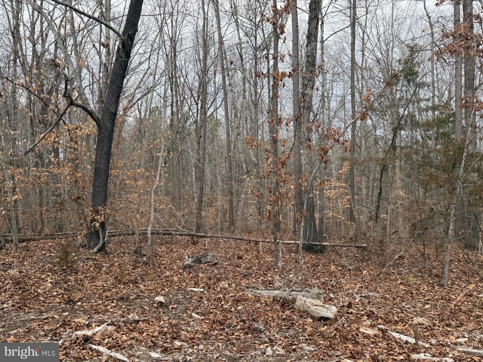 Lot C1 Hardware Road Arvonia, VA 23004 - Photo 13 of 27