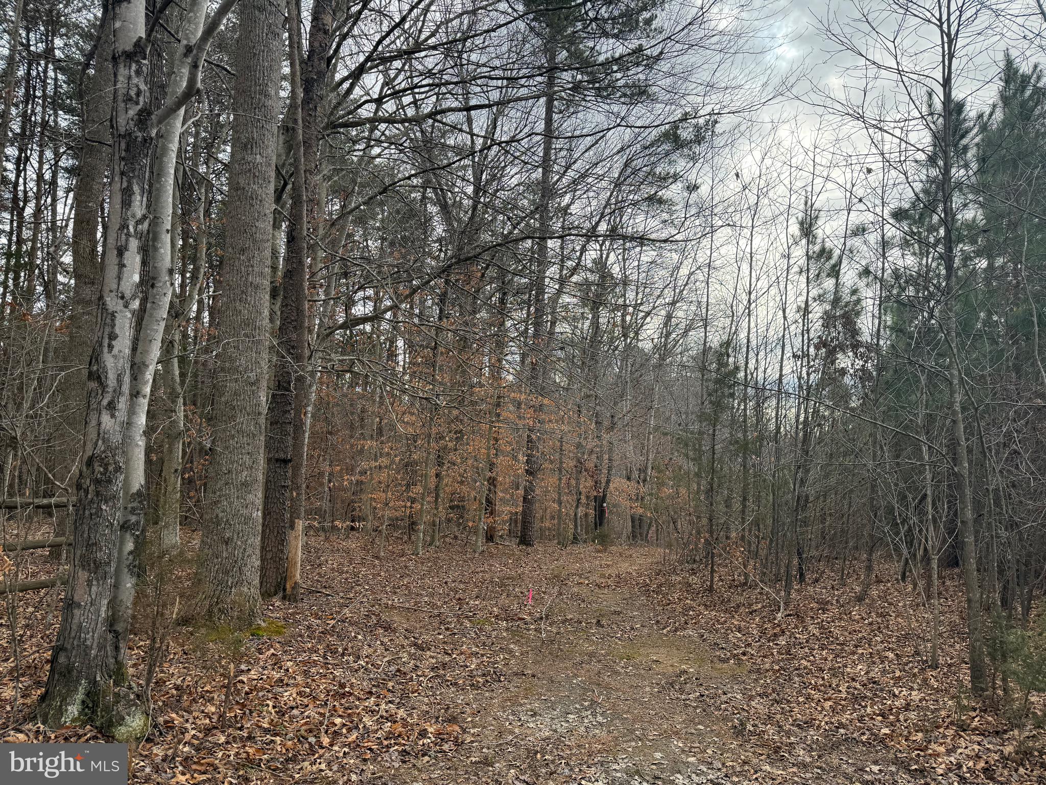 Lot C1 Hardware Road Arvonia, VA 23004 - Photo 14 of 27