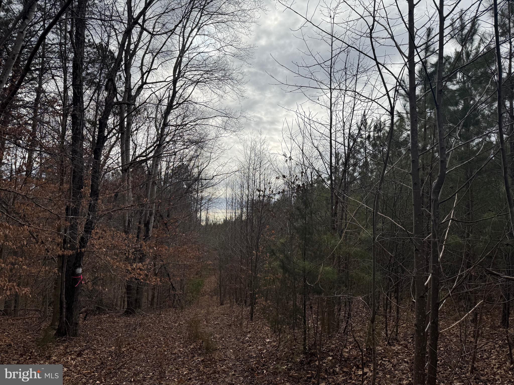 Lot C1 Hardware Road Arvonia, VA 23004 - Photo 15 of 27